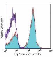 APC anti-mouse CD19 Antibody (115511)