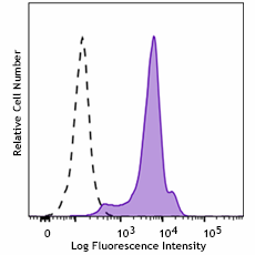 Purified anti-human ANTXR2 Recombinant Antibody (318405)