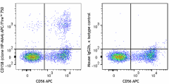 APC/Fire™ 750 anti-human CD158 (KIR2DL1/S1/S3/S5) Antibody (339520)