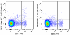 PerCP/Cyanine5.5 anti-mouse/human CD207 (Langerin) Antibody (144215)