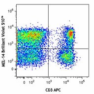 Brilliant Violet 510™ anti-mouse CD62L Antibody (104441)