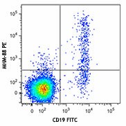 PE anti-human IgM Antibody (314507)