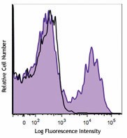 PE/Cyanine7 anti-mouse CD5 Antibody (100621)