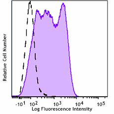 PE anti-human IL12RB2 Antibody (394205)