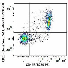 Alexa Fluor® 700 anti-mouse CD20 Antibody (150415)