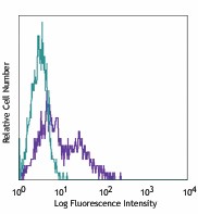 Pacific Blue™ anti-human CD95 (Fas) Antibody (305619)