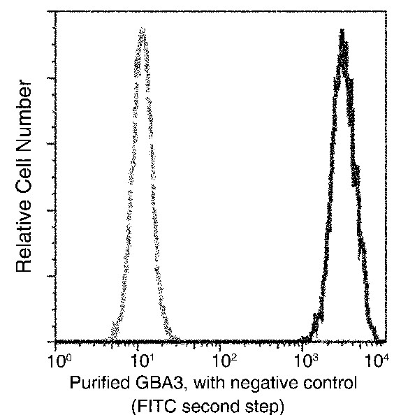 Recombinant GBA3 Monoclonal Antibody (AN300404P)