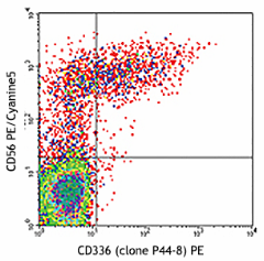 PE anti-human CD336 (NKp44) Antibody (325107)