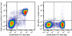 APC/Fire™ 810 anti-mouse CD20 Antibody (150437)