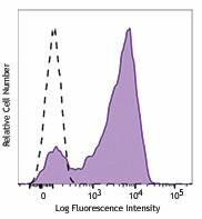Biotin anti-mouse CD16.2 (FcγRIV) Antibody (149512)