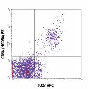 APC anti-human CD122 (IL-2Rβ) Antibody (339007)