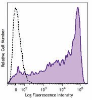 Brilliant Violet 785™ anti-human CD45RA Antibody (304139)