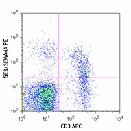 PE anti-mouse/human SEMA4A Antibody (148403)