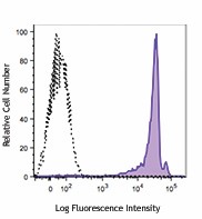 FITC anti-rat CD90 Antibody (206105)