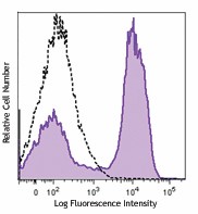Purified anti-mouse CD185 (CXCR5) Antibody (145502)