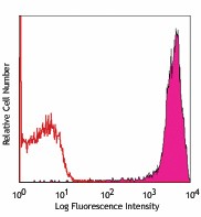 PE anti-rat CD90/mouse CD90.1 (Thy1.1) Antibody (202523)