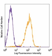 Pacific Blue™ anti-mouse H-2Kd Antibody (116615)