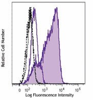 Alexa Fluor® 488 anti-IRF4 Antibody (646405)