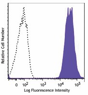Biotin anti-human HLA-A2 Antibody (343322)