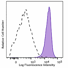 PE/Cyanine7 anti-RPS6 Phospho (Ser235/Ser236) Antibody (608605)