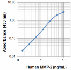 Purified anti-MMP2 Antibody