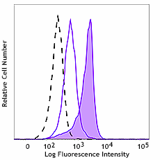 PE anti-CHOP Antibody (948705)