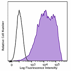 Purified anti-TMEM119 (Extracellular) Antibody (853301)