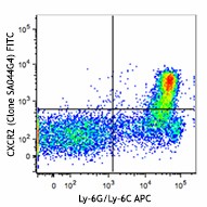 FITC anti-mouse CD182 (CXCR2) Antibody (149309)