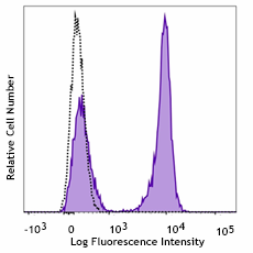 Alexa Fluor® 488 anti-rat IgG2a Antibody (407513)