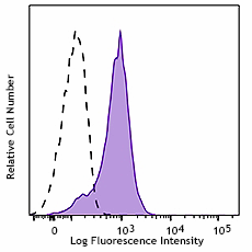 Purified anti-mouse Ki-67 Antibody (652401)