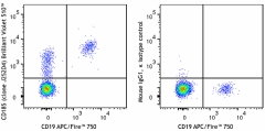 Brilliant Violet 510™ anti-human CD185 (CXCR5) Antibody (356963)