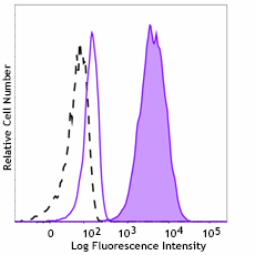 PE anti-Vimentin Antibody (699309)