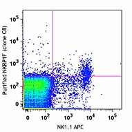 Purified anti-mouse/rat CD161f (NKPR1f) Antibody (148902)
