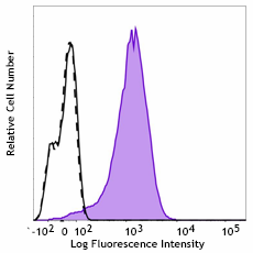 Purified anti-LEF1 Antibody (621051)
