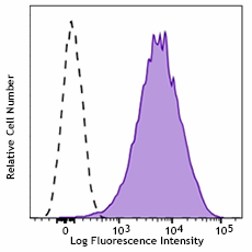 Purified anti-human CD99 Antibody (398202)