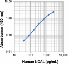 Biotin anti-human NGAL (Lipocalin-2) Antibody