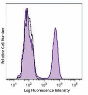 Purified anti-rat Erythroid Cells Antibody (250402)