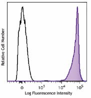 Brilliant Violet 605™ anti-mouse CD90.2 (Thy1.2) Antibody (140317)