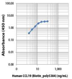 Biotin anti-human CCL19 Antibody