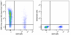 Spark PLUS YG581™ anti-human CD95 (Fas) Antibody (305683)