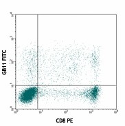 FITC anti-human/mouse Granzyme B Antibody (515403)