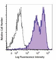 PE/Cyanine7 anti-mouse CD83 Antibody (121517)