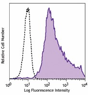 Brilliant Violet 421™ anti-mouse CD107a (LAMP-1) Antibody (121617)