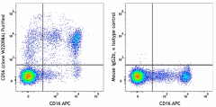 Purified anti-human CD56 (NCAM) Antibody (349652)