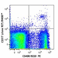 Brilliant Violet 650™ anti-mouse CD317 (BST2, PDCA-1) Antibody (127019)