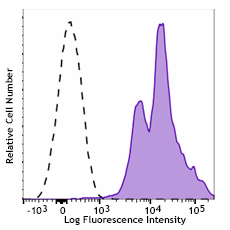 Purified anti-rat CD11a Antibody (201902)
