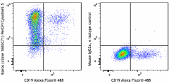 PerCP/Cyanine5.5 anti-human Ikaros Antibody (368415)