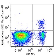 Alexa Fluor® 488 anti-mouse/rat/human FOXP3 Antibody (320011)