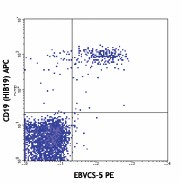 PE anti-human CD23 Antibody (338507)