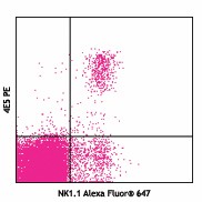 PE anti-mouse Ly49D Antibody (138307)